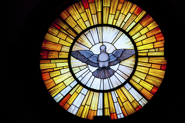 Dove stained glass