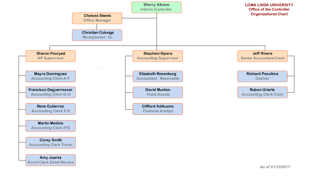 LLU Accounting Organizational Chart